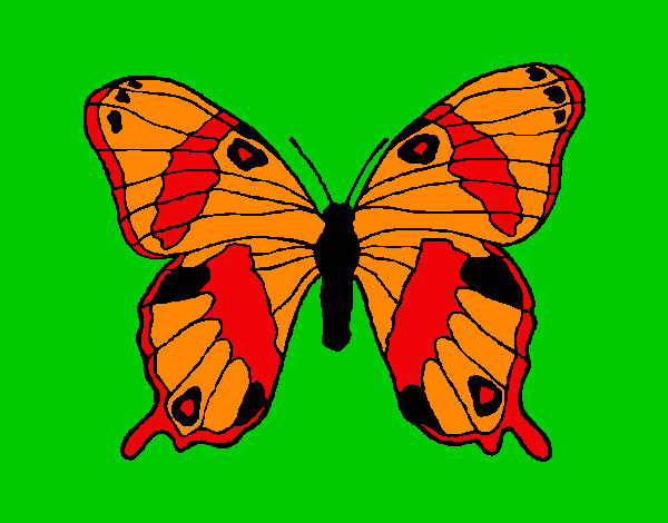 Dibujo Mariposa silvestre pintado por dariu