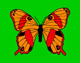 Dibujo Mariposa silvestre pintado por dariu