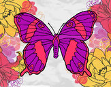 Dibujo Mariposa silvestre pintado por yosli