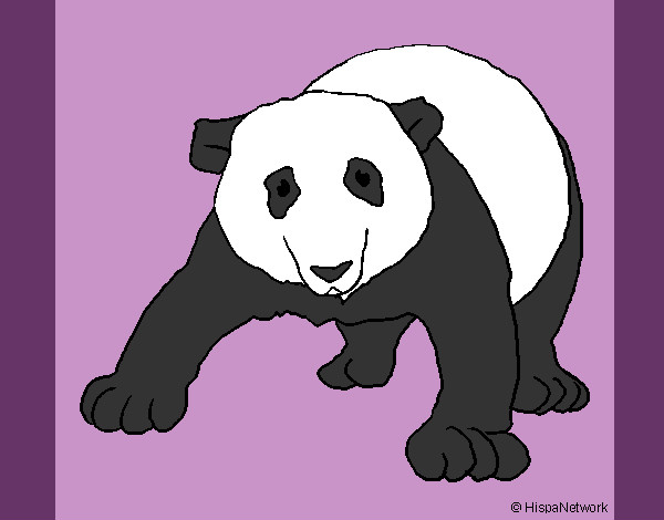 Dibujo Oso panda 1 pintado por lista