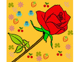 Dibujo Rosa pintado por amaral