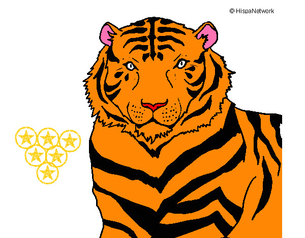Dibujo Tigre 3 pintado por dariu