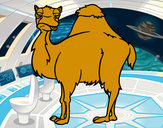 Dibujo Camello aburrido pintado por kennethd