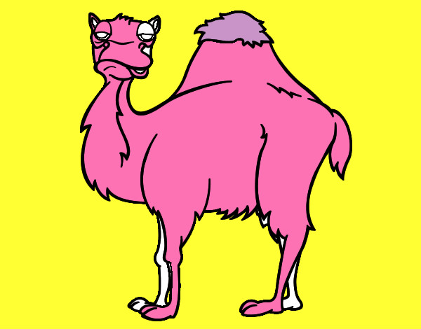 Dibujo Camello aburrido pintado por vero_1D