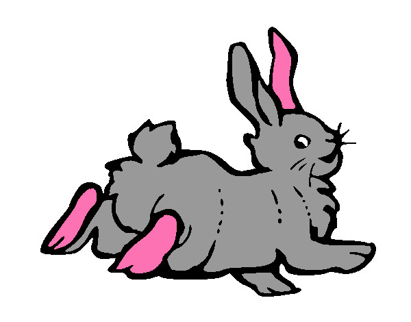 Dibujo Conejo contento pintado por marper