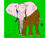 Dibujo Elefante 1 pintado por paloma58