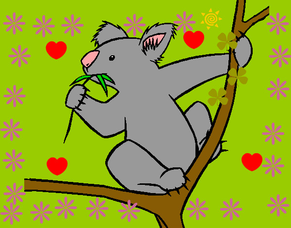 Dibujo Koala pintado por ketzalli