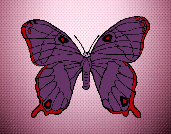 Dibujo Mariposa silvestre pintado por auroa