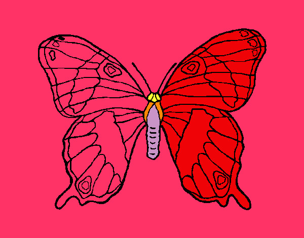 Mariposa silvestre