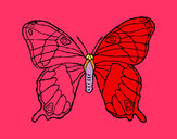 Dibujo Mariposa silvestre pintado por JEVASOMA