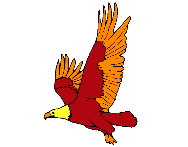 Dibujo Águila volando pintado por DEMIAN4