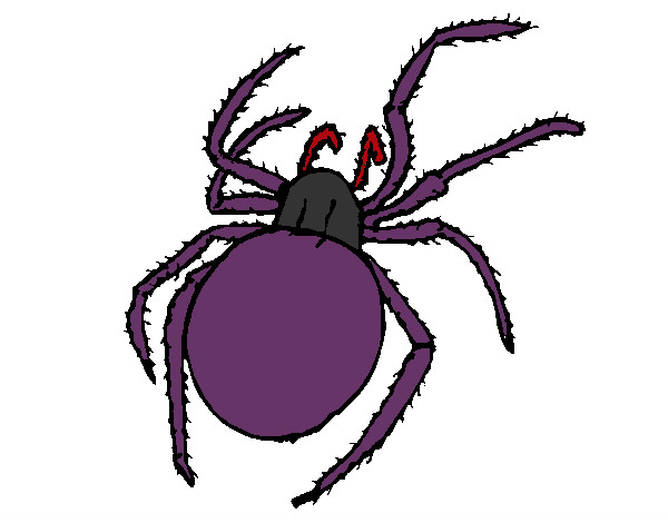 Dibujo Araña venenosa pintado por DEMIAN4