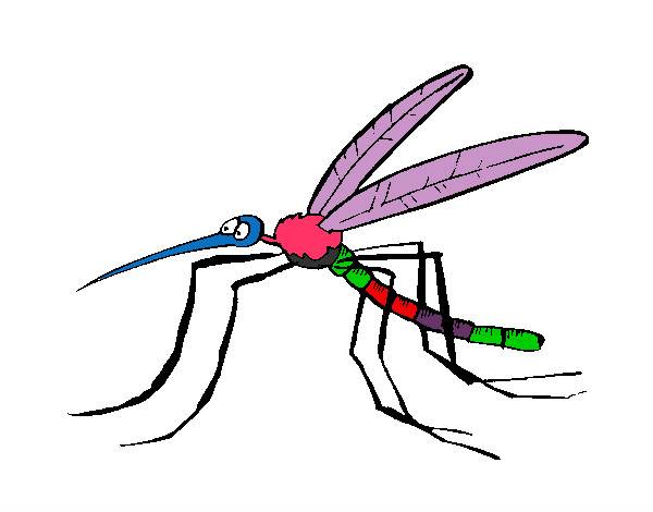 Dibujo Mosquito 2 pintado por camiliona