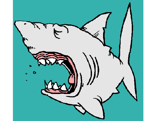 Dibujo Tiburón 1 pintado por DIEGO-ANA