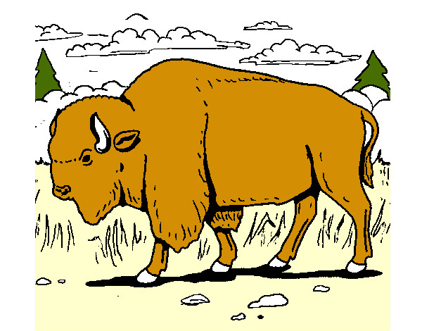 Dibujo Búfalo  pintado por mirkonicol