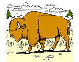 Dibujo Búfalo  pintado por mirkonicol