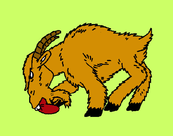 Dibujo Cabra enfada pintado por mirkonicol