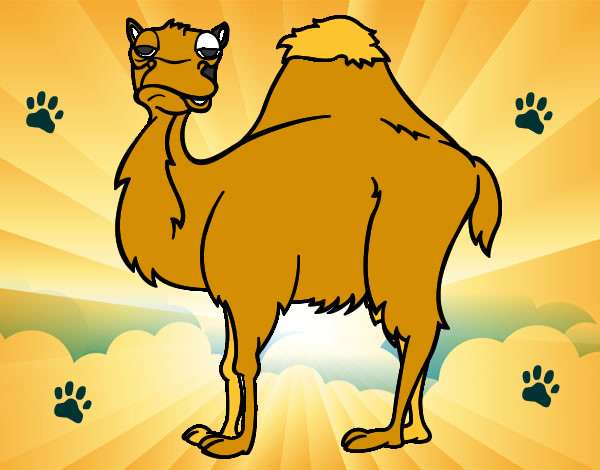 Dibujo Camello aburrido pintado por chatana