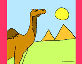 Dibujo Camello pintado por mirkonicol