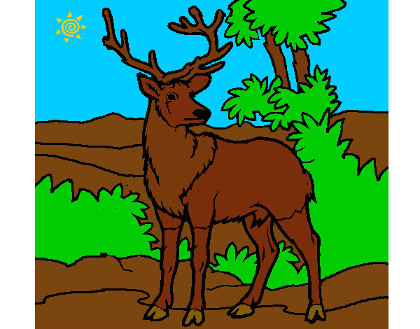 Dibujo Ciervo adulto pintado por joshu