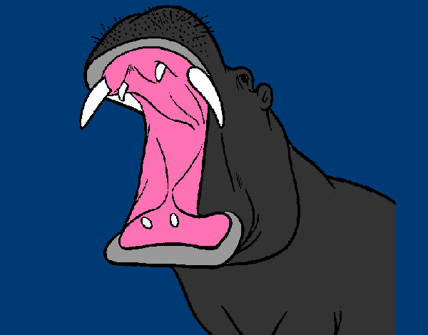 Dibujo Hipopótamo con la boca abierta pintado por mirkonicol