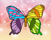 Dibujo Mariposa silvestre pintado por FABI_05