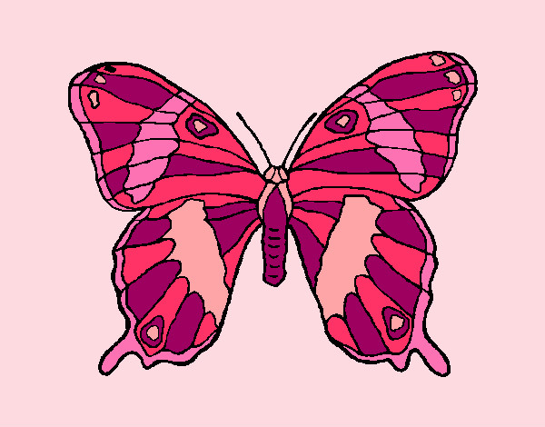 Dibujo Mariposa silvestre pintado por roxona2002