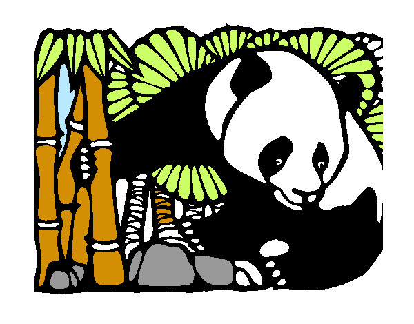 Dibujo Oso panda y bambú pintado por mirkonicol