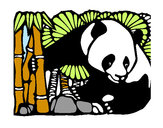 Dibujo Oso panda y bambú pintado por mirkonicol
