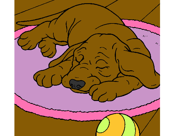 Dibujo Perro durmiendo pintado por silvioa