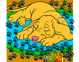 Dibujo Perro durmiendo pintado por thiag
