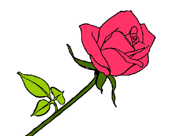 Dibujo Rosa pintado por lila0026