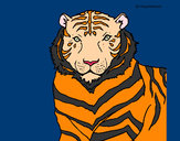 Dibujo Tigre 3 pintado por amador1135