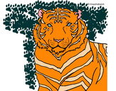 Dibujo Tigre 3 pintado por thiag