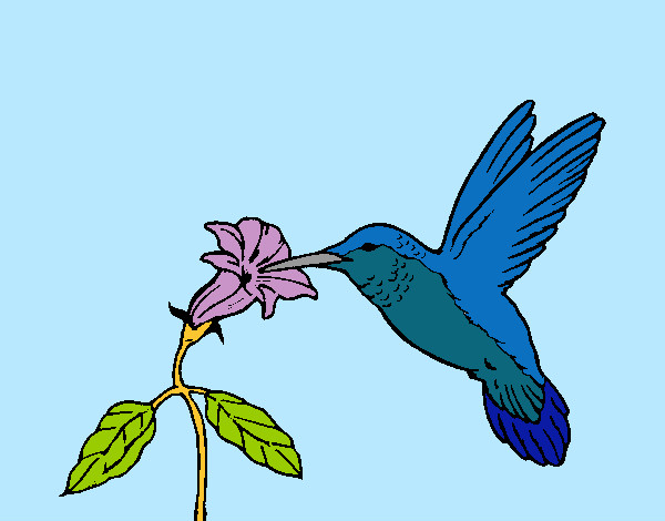 Dibujo Colibrí y una flor pintado por xilef