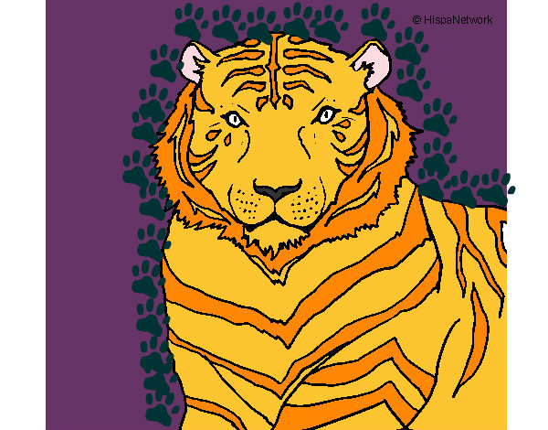 Dibujo Tigre 3 pintado por Valerita3