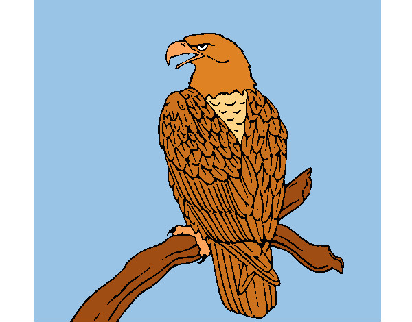 Dibujo Águila en una rama pintado por moko