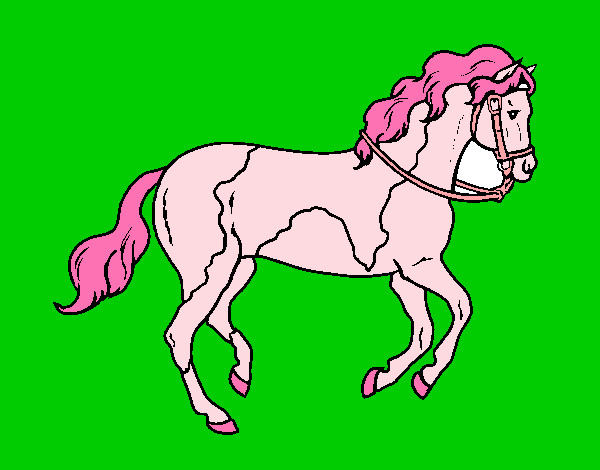 Dibujo Caballo 5 pintado por unicorn