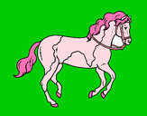 Dibujo Caballo 5 pintado por unicorn