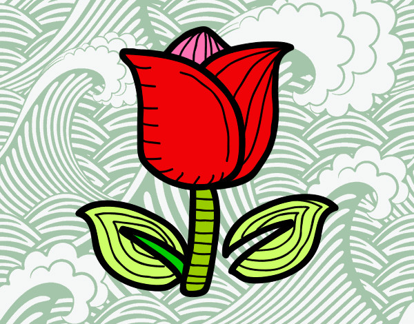 Dibujo Tulipán pintado por Twiti 