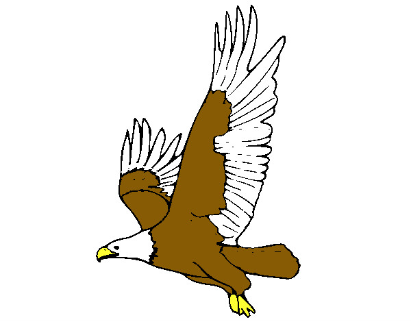 Dibujo Águila volando pintado por ADRIAN7