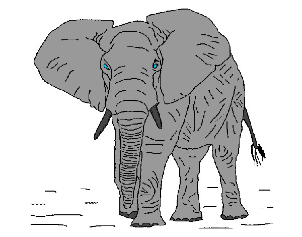 Dibujo Elefante 1 pintado por xixu