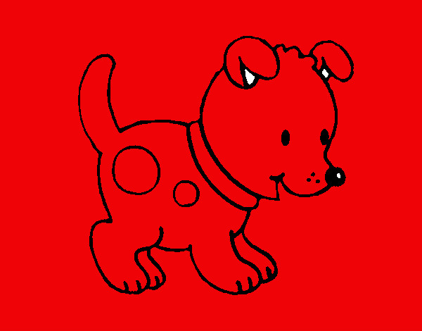 Dibujo Perrito pequeño pintado por elihu