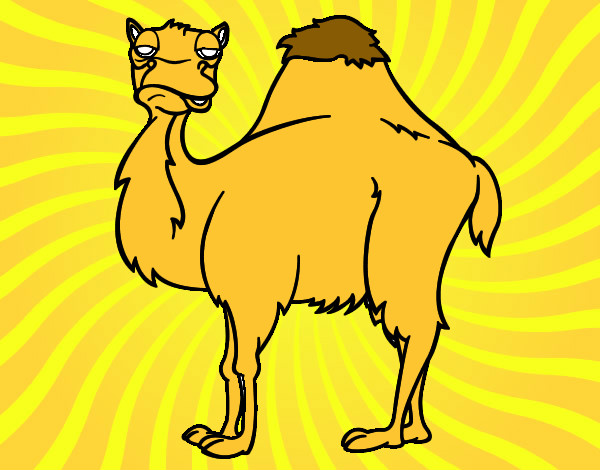 Dibujo Camello aburrido pintado por Danneliese