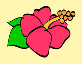 Dibujo Flor de lagunaria pintado por rosa2002