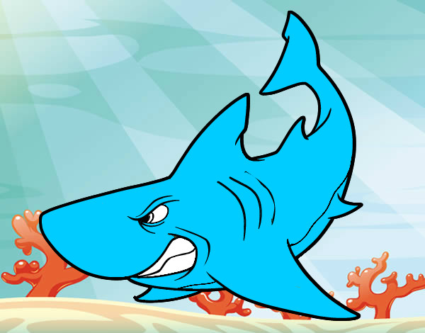 Dibujo Tiburón enfadado pintado por leidybello