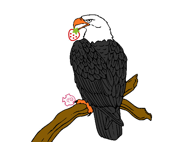 Dibujo Águila en una rama pintado por edwa