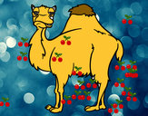Dibujo Camello aburrido pintado por pedrodibuj