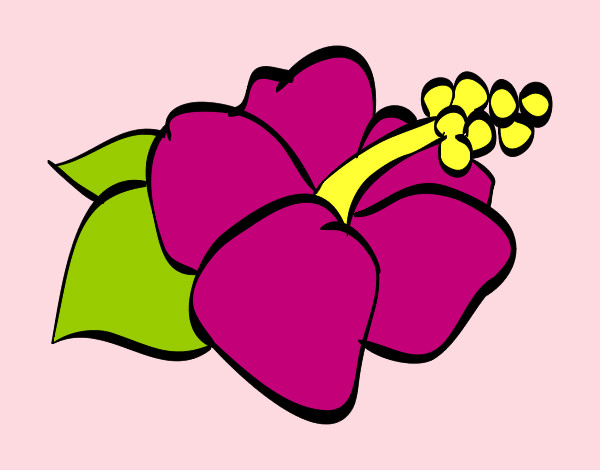 Dibujo Flor de lagunaria pintado por rstlg