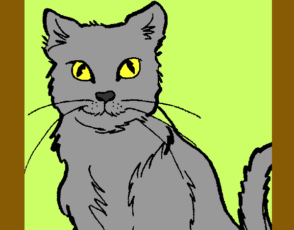 Dibujo Gato 2 pintado por MENCI